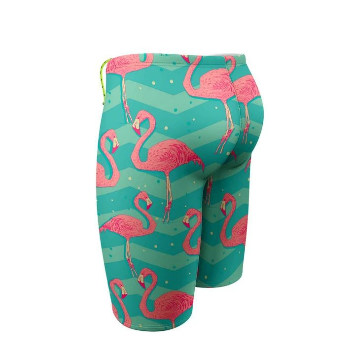Q Swimwear Flamingo Jammer 4 Q Swimwear Flamingo Jammer
