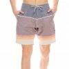 MI Sports Vissla The Ledge 18.5" Sofa Surfer Shorts Clothing